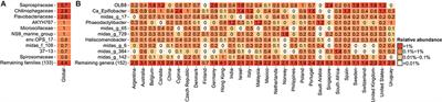 Diversity and Ecophysiology of the Genus OLB8 and Other Abundant Uncultured <mark class="highlighted">Saprospiraceae</mark> Genera in Global Wastewater Treatment Systems